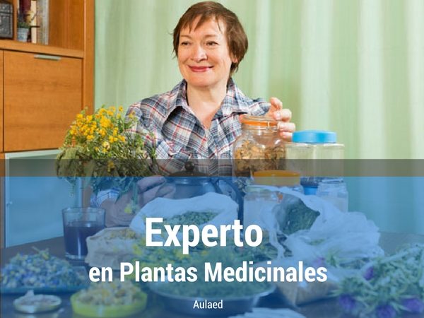 Curso Experto en Plantas Medicinales