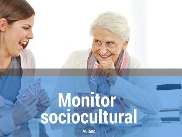 Curso monitor sociocultural