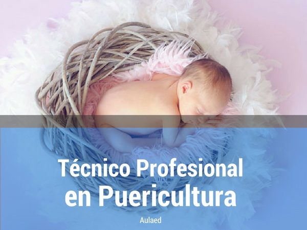 Curso Tecnico Profesional en Puericultura