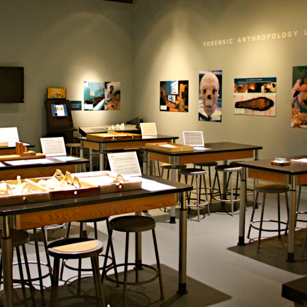 Forensic_Anthropology_Lab.